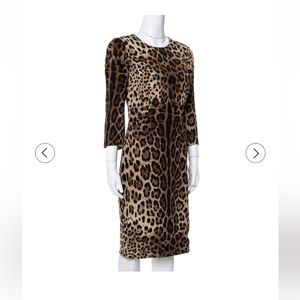 Dolce & Gabbana Animal Print Long Sleeve Dress.